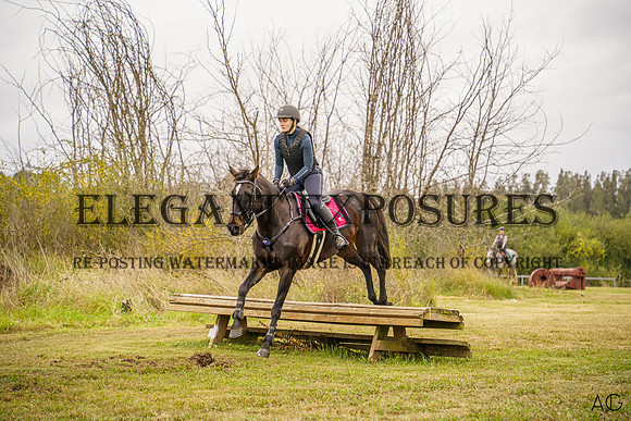 _AJG3911