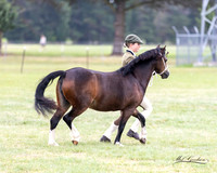 MKG_9739
