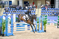 OLS_2234