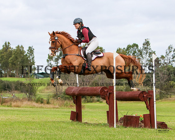 ZJD-2186