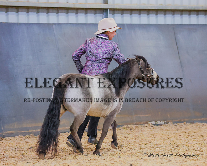 Elegant Exposures | AMHS - Winter - Classes 23-34 30.06.2024