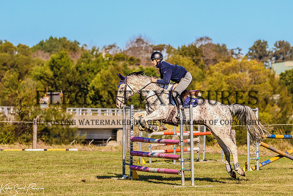 IMG_3332