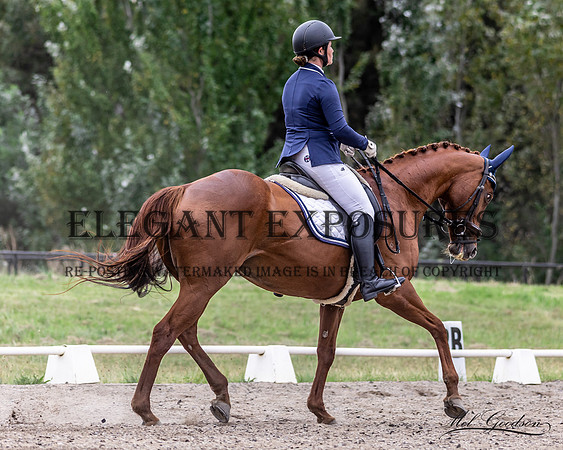 MKG_5815