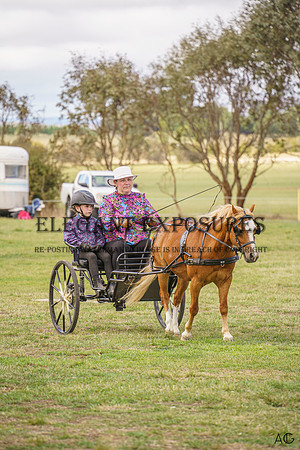 _AJG0195