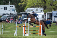 OLS_7937