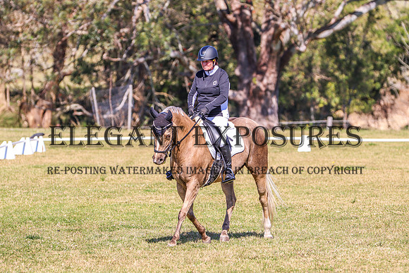 KMS-0290