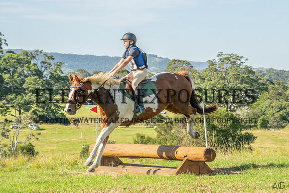 _AJG2019