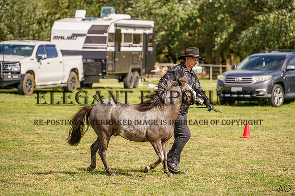 _AJG7258