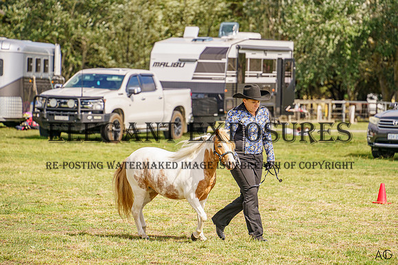 _AJG7248